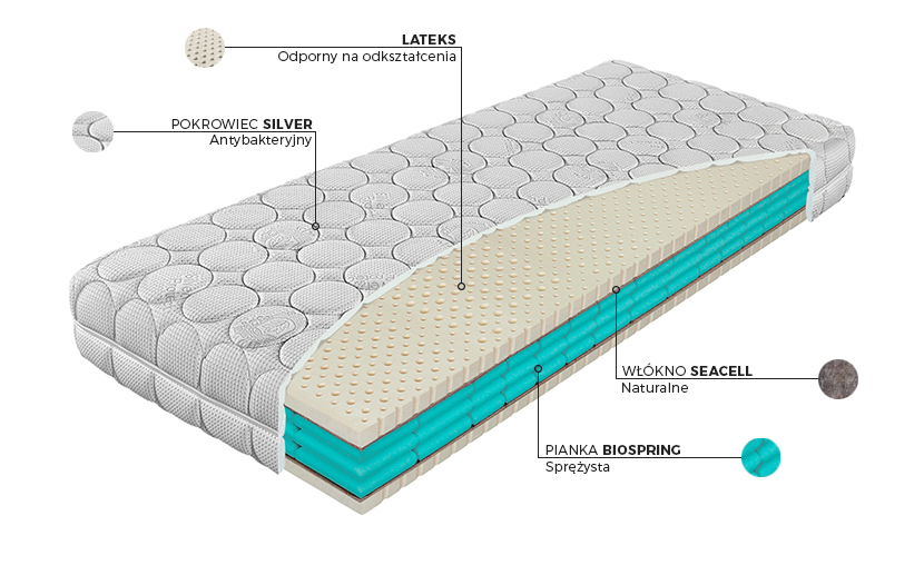 Premier Biospring - budowa